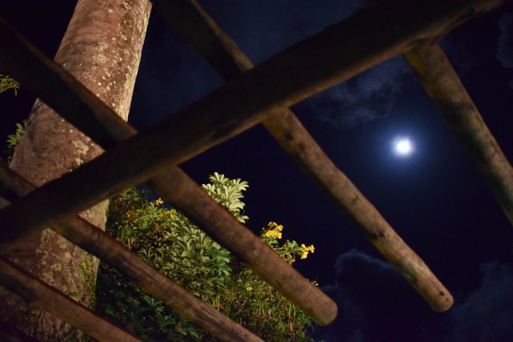 Pousada Sossego Boipeba Velha Boipeba Dış mekan fotoğraf